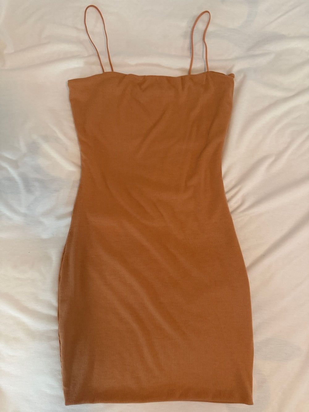 Slip Mini Dress in Rust/Nude